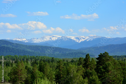 Panorama Mountain Snow Sky Blue Ozone Landscape Forest Green Summer Blue Large pine Trees mountains Snow peaks