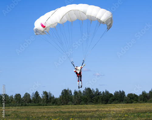 Landing of skydiver with a white parachute on a blue sky, forest and meadow background.