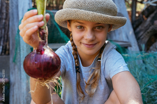 Unrecognizable little kid harvesting organic vegetables at farm. Onion harvested season. photo