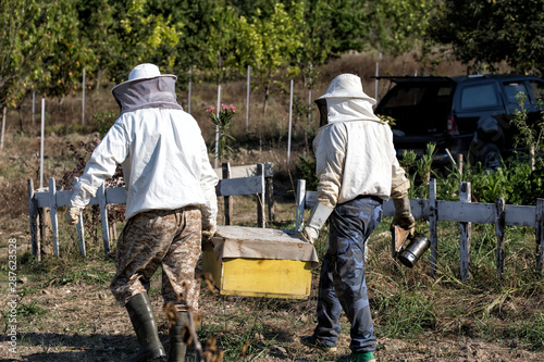 Beekeepers in protective workwear are transporting a beehive. Beekeeping concept. Beekeepers harvesting honey.apiary