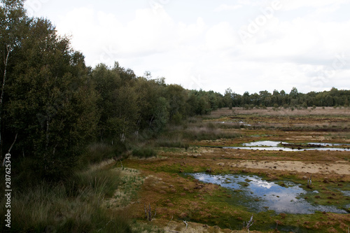 weitblick auf das moor in Herzlake emsland deutschland fotografiert beim gang durch das moor an einem sonnigen tag