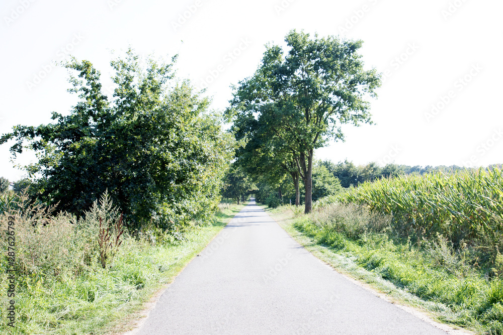 blick auf einen weg in querformat in lathen emsland deutschland fotografiert an einem sonnigen tag in farbig blick auf einen weg in querformat in lathen emsland deutschland fotografiert an einem sonnigen tag in farbig