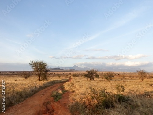 Savannenlandschaft in Tsavo Ost Kenia