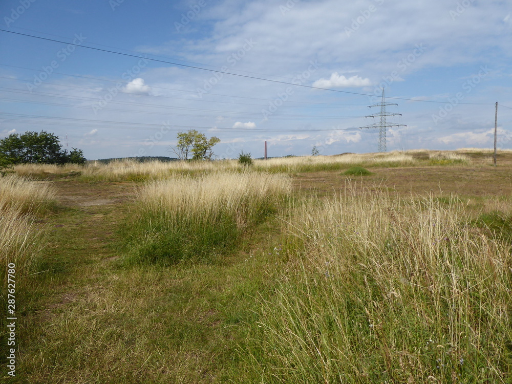 Wildlandschaft Wildlandschaft