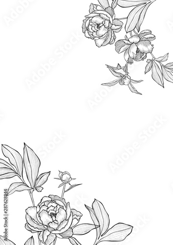 Floral card frame. Botanical wreath isolated on white. Vector tattoo peonies with leaves. Detailed outline sketch drawing. Line art flowers for placing text, postcard, invitation, poster.