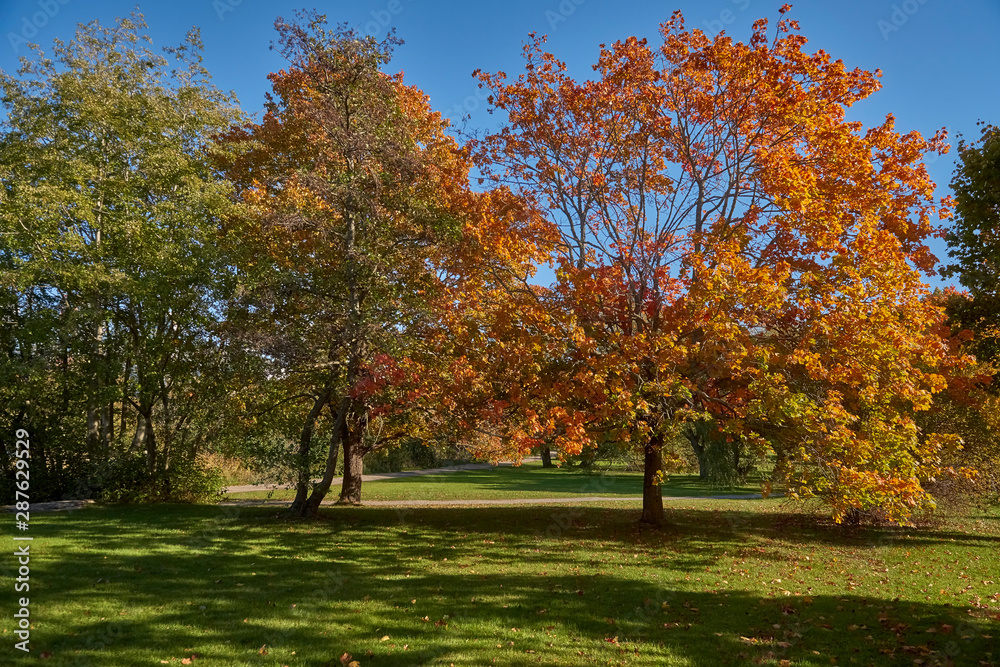 Sweden, Stockholm, autumn city park Urliksdal