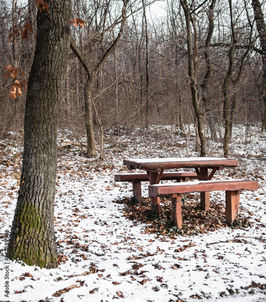 Nice winter scene with bench