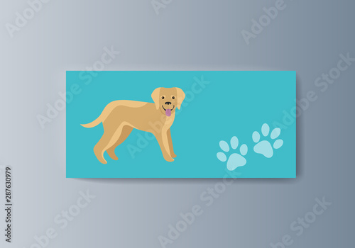 Presentation of the pet classification brochure