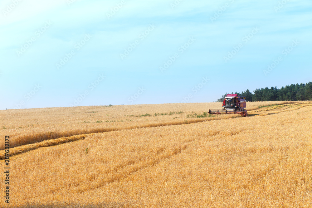 Obraz premium combine harvester working
