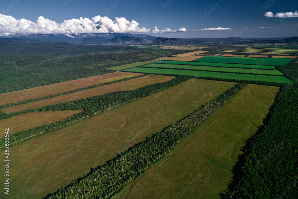 Fototapeta premium Aerial view of farm fields valley in the Kamchatka in Russia. Agricultural Landscape.