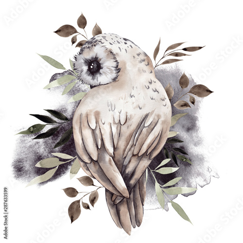 Watercolor hand draw mystery illustration with pretty owl and leaves, isolated on white background photo