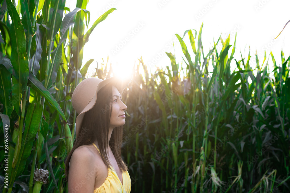 A girl in a yellow dress and hat posing in a corn field A girl in a yellow dress and hat posing in a corn field