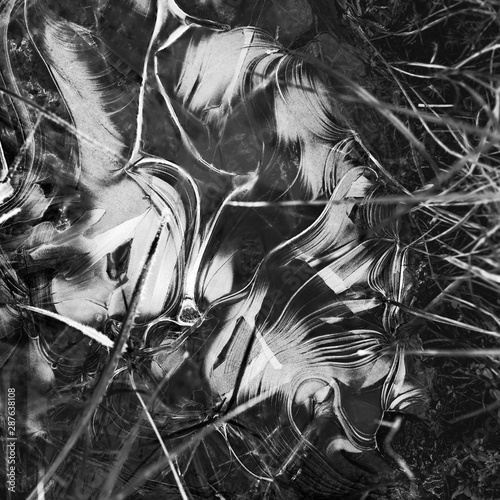 Gefrorenes Gras im Eis 1