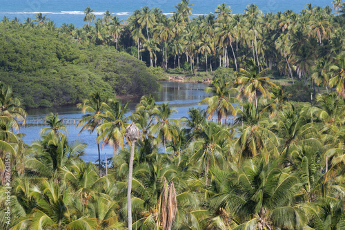 Tatuamunha Village   Alagoas   Brazil. January 21 2018. View of Tatuamunha beach and its coconut palms.