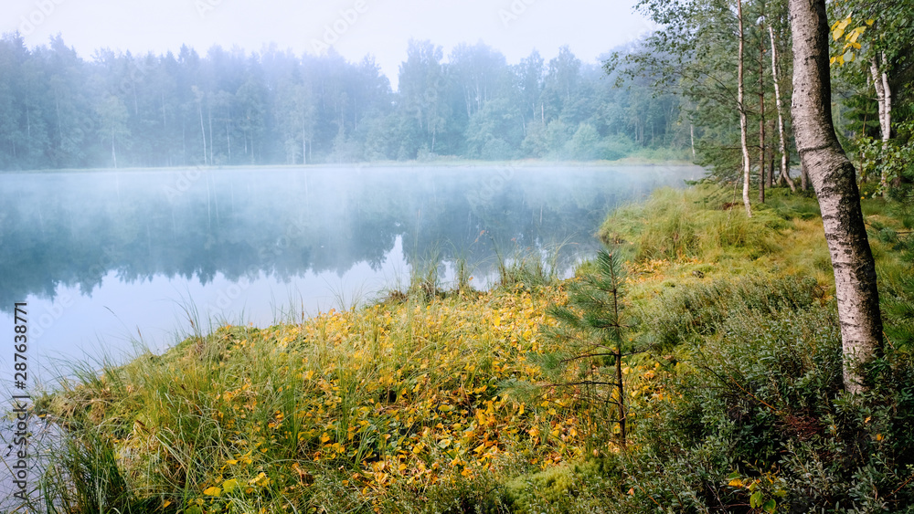 Misty autumn colorful morning on a blue forest lake