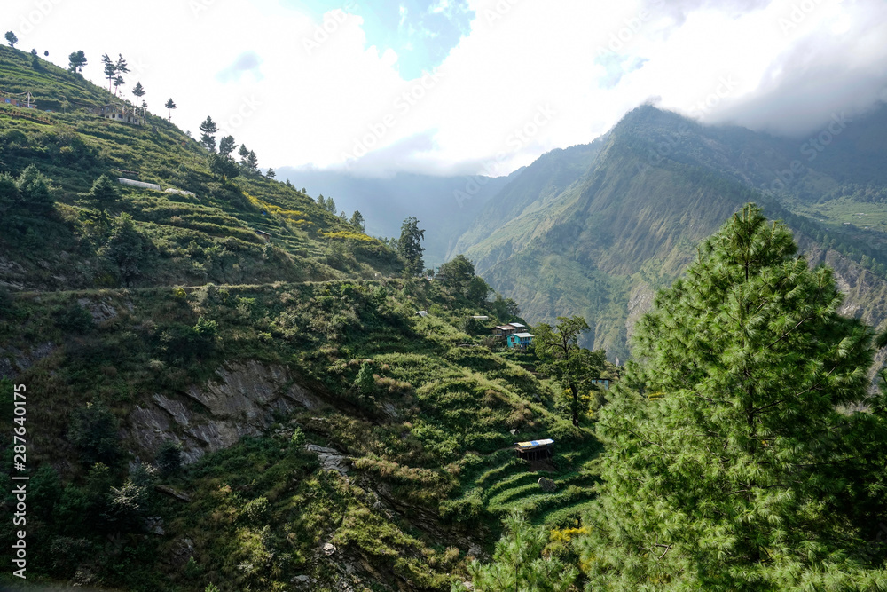 Naklejka premium AERIAL: Scenic view of rice terraces and forest covering the hills in Himalaya