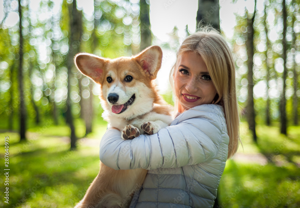 A young woman walks her dog in a summer Park A young woman walks her dog in a summer Park