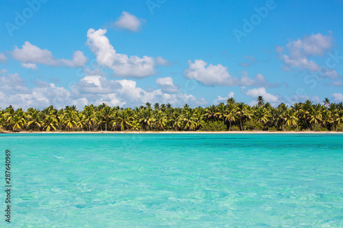 Wild tropical beach with white sand and coconut trees. Beauty and calm. View from the sea. Turquoise clear water. Saona Island Dominican Republic