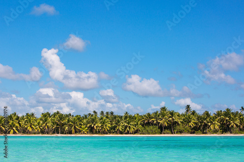 Wild tropical beach with white sand and coconut trees. View from the sea. Turquoise clear water. Saona Island Dominican Republic © Bankerok