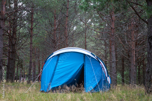 Autumn day. Blue tent in a pine forest.