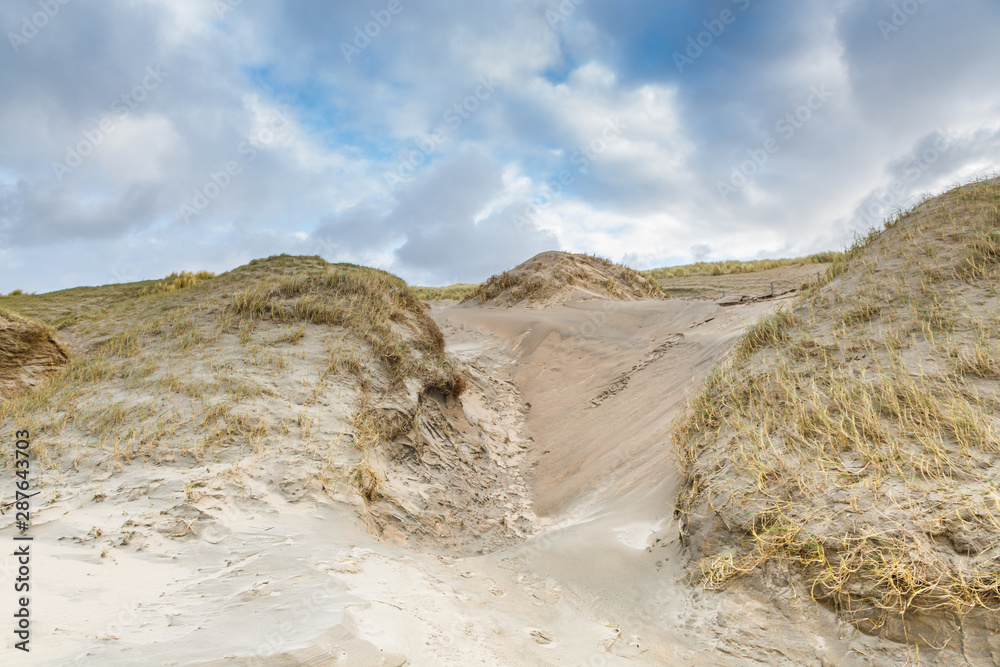 Beautiful wintry dune scenery along Dutch North Sea coast with by wind ...
