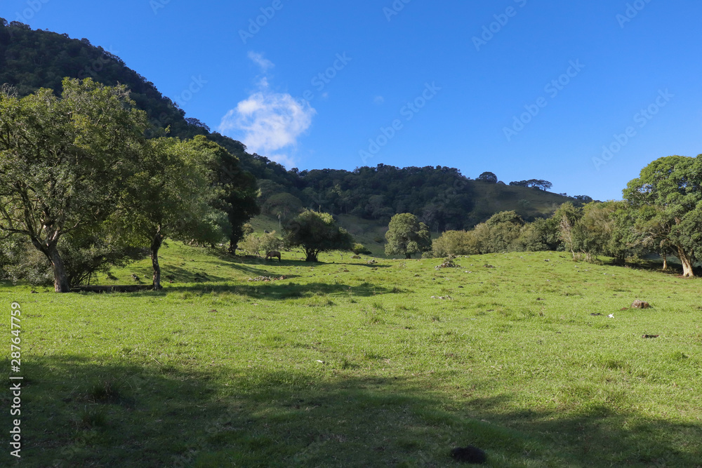 paisagem, natureza, relva, céu, campo, verde, montagna