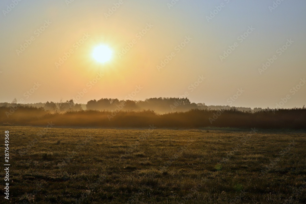 Fototapeta premium wschód słońca we mgle