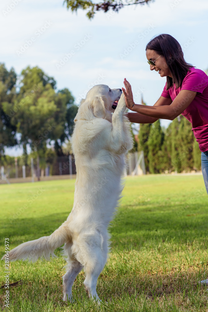 Give me five - Dog pressing his paw against a woman hand Give me five - Dog pressing his paw against a woman hand