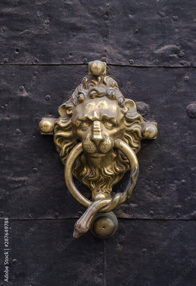 Old metal door detail with a lion head, in Graz, Styria region, Austria