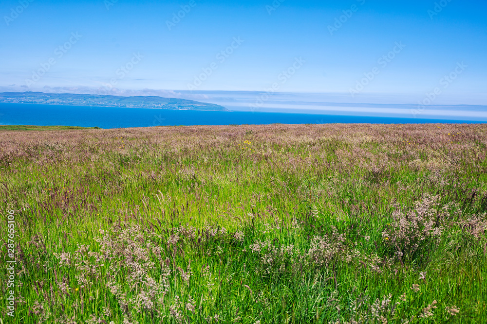 wide angle shoot summer countryside morning,Northern Ireland wide angle shoot summer countryside morning,Northern Ireland