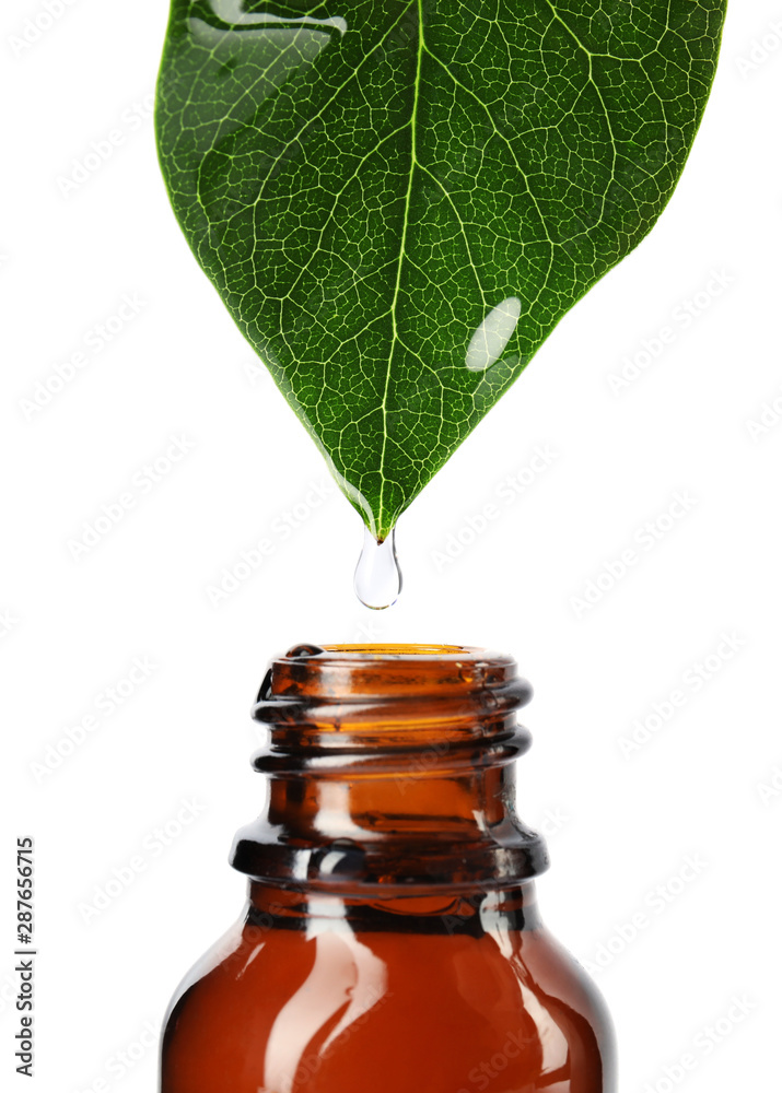 Essential oil drop falling from green leaf into glass bottle on white background, closeup - obrazy, fototapety, plakaty 