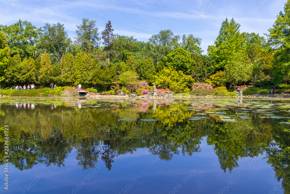 Japanese Garden, Wroclaw