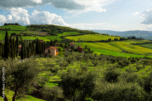 Green Hills of Tuscany