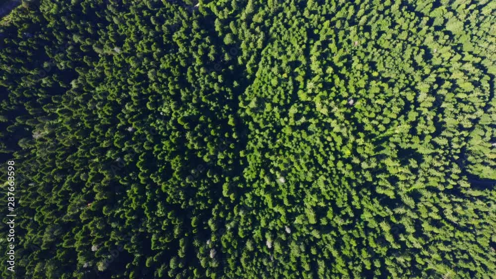 Aerial Drone View of green mountain forest in summer, 4k Aerial Drone View of green mountain forest in summer, 4k