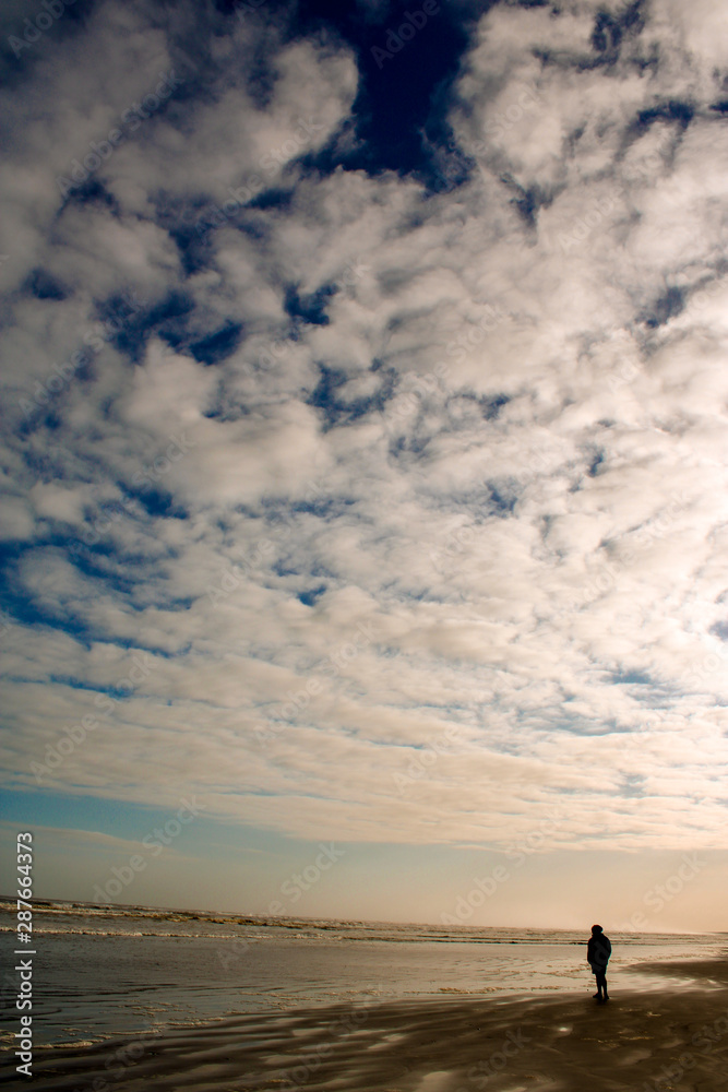 Beach silhouette