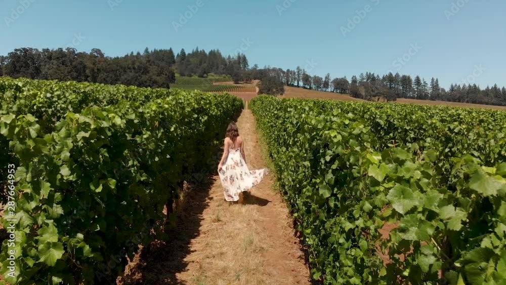 Drone shot of an attractive young brunette woman in a white summer dress dancing and spinning happily through rows of wine grapes in slow motion. Drone shot of an attractive young brunette woman in a white summer dress dancing and spinning happily through rows of wine grapes in slow motion.