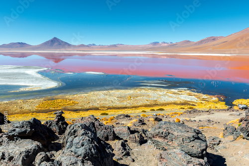 Complete wide angle landscape of the red lagoon (laguna colorada) with all its colors due to algae and sediments in the region of the Uyuni Salt Flat in Bolivia, South America.