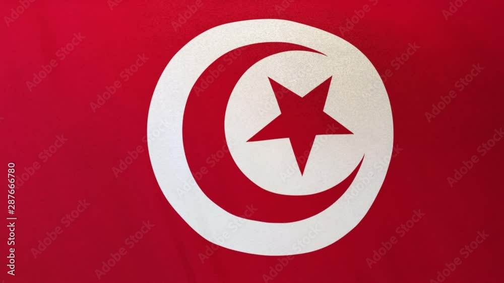 Tunisia national flag seamlessly waving on realistic satin texture 29.97FPS Tunisia national flag seamlessly waving on realistic satin texture 29.97FPS