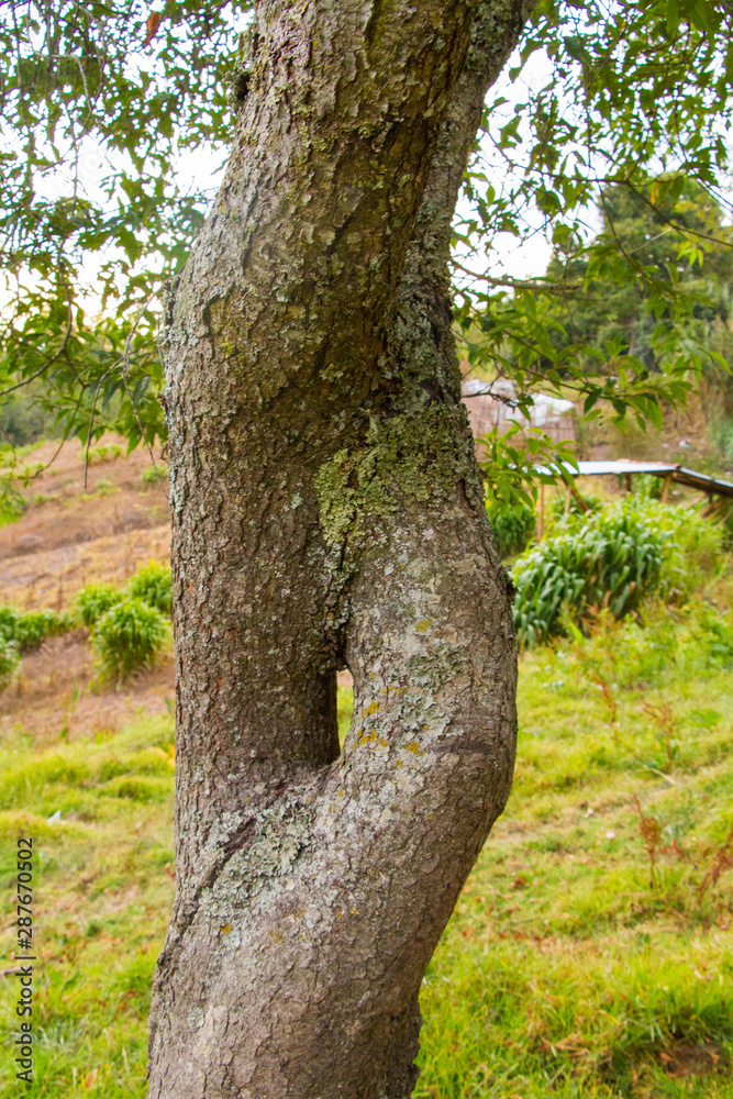 Fototapeta premium beso y abrazo