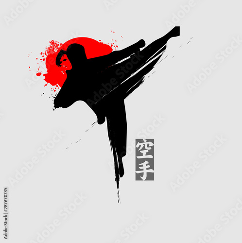 Martial arts silhouette character logo vector illustration.Foreign words in japanese means Karate. photo