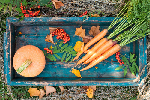 Orange vegetables, pumpkin in wooden box