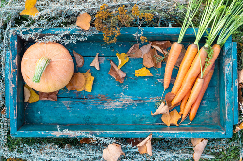 Orange vegetables, pumpkin in wooden box