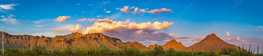 Tucson Mountain Park with Saguaro Cactus Panorama