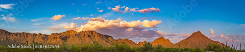 Tucson Mountain Park with Saguaro Cactus Panorama photo