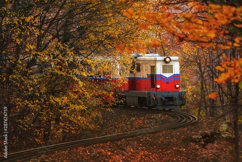 Forest train in amazing autumn colors. Bright lights, fantastic mood. Children's train in Budapest. Szechenyi hegy hill to huvosvolgy hill to huvosvolgy. Children's train operate by children. Hungary photo