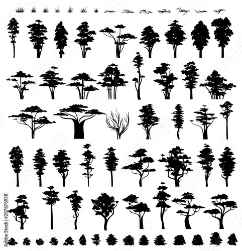 Trees silhouettes isolated on white background. Nature trees. Grass and bushes . Collection vegetation trees bushes and grass . photo