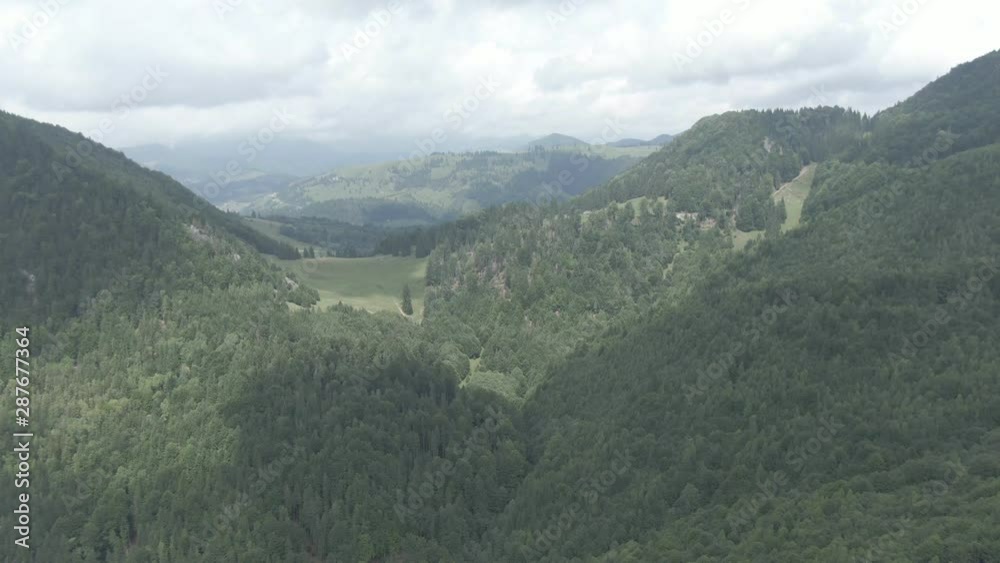 A beautiful green land located in Romania A beautiful green land located in Romania