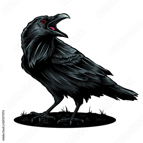 crow vector and illustration logo