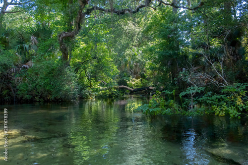 Juniper Springs Creek, Florida 
