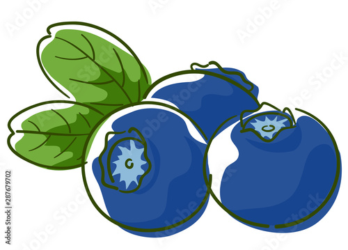 Blueberry Superfood Illustration